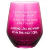 Hallmark A Friend Like Me Funny Stemless Wine Glass, 15.5 Oz.