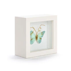 Demdaco Light Blue Butterfly Small Shadow Box Wall Decor, 4" -Hallmark Shop Blue Butterfly in White Shadow Box 1004920023 03