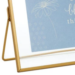 Hallmark DaySpring Season Of Life Floating Framed Sentiment -Hallmark Shop DaySpring Season of Life Floating Framed Sentiment 1REL2045 04