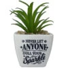 Faux Potted Succulent With Encouraging Message -Hallmark Shop Faux Potted Succulent Encouragement Gift 281000024 01