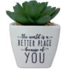 Faux Potted Succulent With Complimentary Message -Hallmark Shop Faux Potted Succulent Encouragement Gift 281000036 01