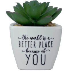 Faux Potted Succulent With Complimentary Message