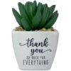 Faux Potted Succulent With Thank-You Message -Hallmark Shop Faux Potted Succulent ThankYou Gift 281000034 01