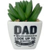 Faux Potted Succulent With Dad Message 2 Faux Potted Succulent With Dad Message -Hallmark Shop Faux Potted Succulent for Dad 281000005 01