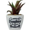 Faux Potted Succulent With Daughter Message -Hallmark Shop Faux Potted Succulent for Daughter 281000009 01