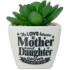 Faux Potted Succulent With Mom And Daughter Message 1 Faux Potted Succulent With Mom And Daughter Message -Hallmark Shop Faux Potted Succulent for Mom or Daughter 281000008 01