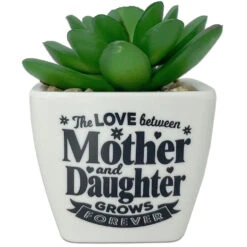 Faux Potted Succulent With Mom And Daughter Message