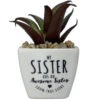 Faux Potted Succulent With Sister Message -Hallmark Shop Faux Potted Succulent for Sister 281000010 01