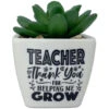Faux Potted Succulent With Teacher Message 2 Faux Potted Succulent With Teacher Message -Hallmark Shop Faux Potted Succulent for Teacher 281000017 01