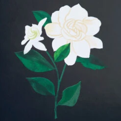 Hallmark Green And Light Blue Scalloped Square Picture Frame, 4x4 8 Hallmark Green And Light Blue Scalloped Square Picture Frame, 4x4 -Hallmark Shop Green and Blue Scallop Edge Square Picture Frame 1ART1039 03