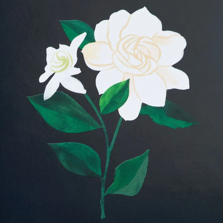 Hallmark Green And Light Blue Scalloped Square Picture Frame, 4x4 5 Hallmark Green And Light Blue Scalloped Square Picture Frame, 4x4 - Image 3