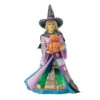 Enesco Jim Shore Witch And Pumpkins Light-Up Figurine, 8.27" H 1 Enesco Jim Shore Witch And Pumpkins Light-Up Figurine, 8.27" H -Hallmark Shop Jim Shore Witch and Pumpkins Halloween LED Figurine 6016638 01