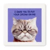 Hallmark Grumpy Kevin The Cat Photo Funny Coaster -Hallmark Shop Kevin the Cat Photo Wood and Cork Coaster 1SHX1012 01