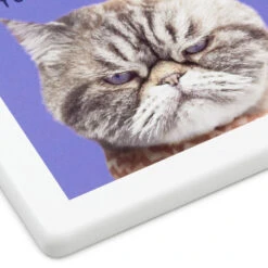 Hallmark Grumpy Kevin The Cat Photo Funny Coaster 9 Hallmark Grumpy Kevin The Cat Photo Funny Coaster -Hallmark Shop Kevin the Cat Photo Wood and Cork Coaster 1SHX1012 04