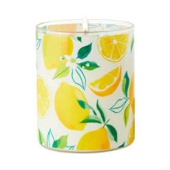 Hallmark Meyer Lemon And Lemon Zest Scented 2-Wick Jar Candle, 14.5 Oz. -Hallmark Shop Meyer Lemon and Lemon Zest Scented Jar Candle 1CND1016 02