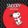 Peanuts Snoopy 2026 Wall Calendar -Hallmark Shop Peanuts Snoopy Happy Dance 2026 Wall Calendar 9781524898458 01
