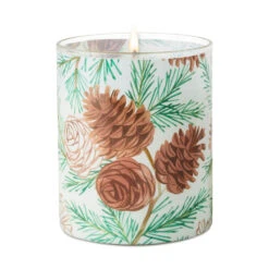 Hallmark Pine And Birch Scented 2-Wick Jar Candle, 14.5 Oz. -Hallmark Shop Pine and Birch Scented Jar Candle 1CND1014 02