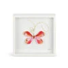 Demdaco Pink Butterfly Shadow Box Wall Decor, 10" 1 Demdaco Pink Butterfly Shadow Box Wall Decor, 10" -Hallmark Shop Pink Butterfly in White Shadow Box 1004920004 01