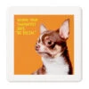 Hallmark Scared Chihuahua Photo Funny Coaster -Hallmark Shop Scared Chihuahua Photo Wood and Cork Coaster 1SHX1015 01