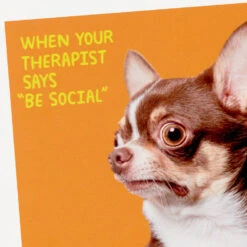 Hallmark Scared Chihuahua Photo Funny Coaster 8 Hallmark Scared Chihuahua Photo Funny Coaster -Hallmark Shop Scared Chihuahua Photo Wood and Cork Coaster 1SHX1015 03