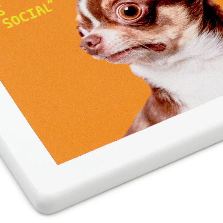 Hallmark Scared Chihuahua Photo Funny Coaster 6 Hallmark Scared Chihuahua Photo Funny Coaster - Image 4
