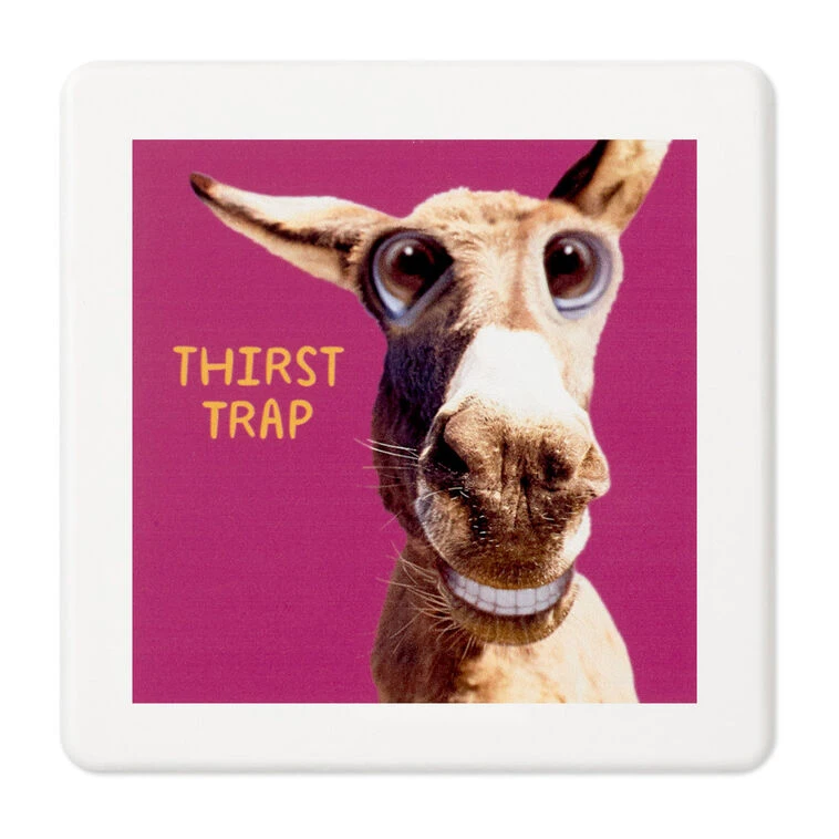 Hallmark Smiling Donkey Photo Funny Coaster 3 Hallmark Smiling Donkey Photo Funny Coaster