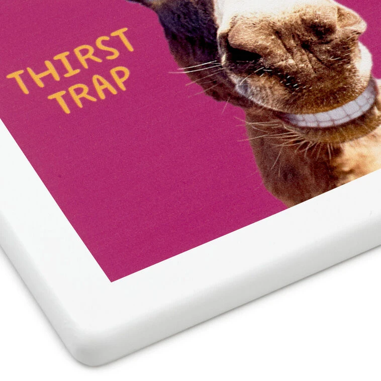 Hallmark Smiling Donkey Photo Funny Coaster 6 Hallmark Smiling Donkey Photo Funny Coaster - Image 4