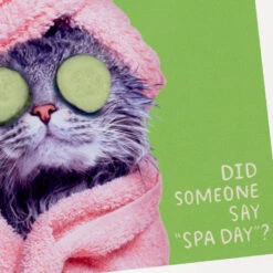 Hallmark Pampered Cat Photo Funny Coaster -Hallmark Shop Spa Cat Photo Wood and Cork Coaster 1SHX1014 03