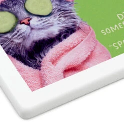 Hallmark Pampered Cat Photo Funny Coaster -Hallmark Shop Spa Cat Photo Wood and Cork Coaster 1SHX1014 04