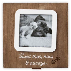 Hallmark Then, Now And Always Pet Memory Box -Hallmark Shop Then Now and Always Pet Memory Box 1BMK1626 04